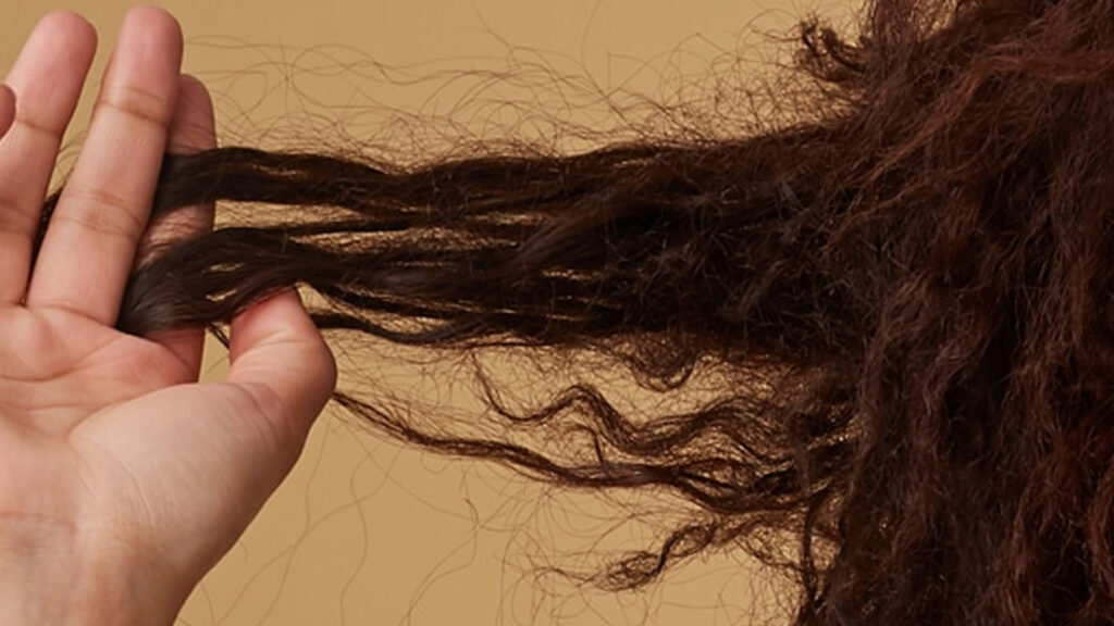 Benefícios do corte de cabelo - Porosidade capilar